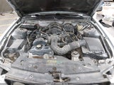 Ford Mustang V6 Deluxe/V6 Premium 1ZVFT80N955109737 photo