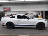Ford Mustang V6 Deluxe/V6 Premium 1ZVFT80N955109737 photo