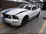 Ford Mustang V6 Deluxe/V6 Premium 1ZVFT80N955109737 photo