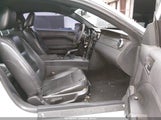 Ford Mustang V6 Deluxe/V6 Premium 1ZVFT80N955109737 photo