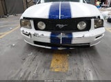 Ford Mustang V6 Deluxe/V6 Premium 1ZVFT80N955109737 photo
