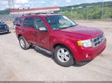 Ford Escape Xlt 1FMCU9DG2CKC61728 снимка