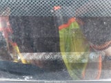 Honda Fit Sport JHMGD38637S055505 photo