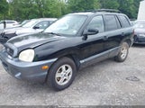 Hyundai Santa Fe Gls/Lx KM8SC13E34U733036 fotografie