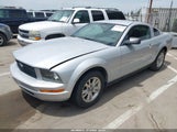 Ford Mustang V6 Deluxe/V6 Premium 1ZVHT80N685103441 photo