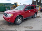 Ford Escape Xlt 1FMCU9DG7AKA41434 photo