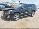 Cadillac Escalade Luxury 1GYS4BKJ6KR405027 fotografie