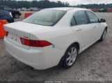 Acura Tsx JH4CL95894C008771 fotografie