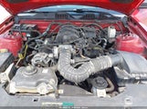Ford Mustang V6/V6 Premium 1ZVBP8EN7A5165505 fotografie
