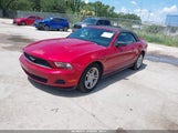 Ford Mustang V6/V6 Premium 1ZVBP8EN7A5165505 fotografie