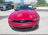 Ford Mustang V6/V6 Premium 1ZVBP8EN7A5165505 fotografie