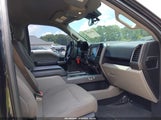 Ford F-150 Xlt 1FTEW1E59LKE41360 fotografie
