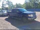 Ford F-150 Xlt 1FTFW1ET1BFC96406 photo