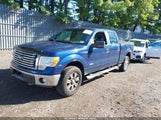 Ford F-150 Xlt 1FTFW1ET1BFC96406 photo