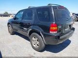 Ford Escape Limited 1FMCU04163KE11119 fotografie