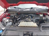 Ford F-150 Xlt 1FTEW1CP8MKF12084 снимка