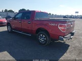 Ford F-150 Xlt 1FTFW1ET3CFA43220 fotografie
