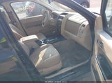 Ford Escape Limited 1FMCU0E74BKA92093 fotografie