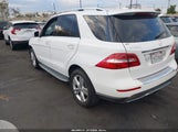 Mercedes-Benz Ml 350 4JGDA5JBXFA517252 fotografie