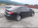 Toyota Corolla Le 2T1BU4EE3DC054039 fotografie