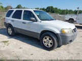 Ford Escape Xlt/Xlt Sport 1FMYU93147KA59742 fotografie