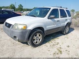 Ford Escape Xlt/Xlt Sport 1FMYU93147KA59742 fotografie