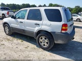 Ford Escape Xlt/Xlt Sport 1FMYU93147KA59742 fotografie