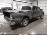 Toyota Tacoma Base V6 3TMMU4FNXBM036116 fotografie