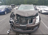 Cadillac Srx Luxury Collection 3GYFNEE38GS535117 fotografie