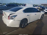 Nissan Maxima 3.5 Sv 1N4AA5AP4EC487094 снимка