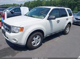 Ford Escape Xlt 1FMCU9D79AKC97106 fotografie
