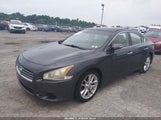 Nissan Maxima 3.5 Sv 1N4AA5AP1AC870078 photo