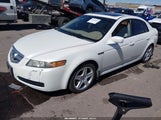Acura Tl 19UUA66216A042224 снимка