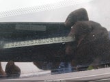 Toyota Venza 4T3ZA3BBXBU054862 снимка