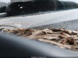 Mazda Mazda3 I Sport JM1BK32G591240599 photo