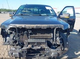 Ford F-150 Fx4 1FTFW1ET9EFB72811 fotografie