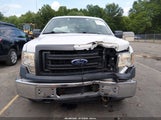 Ford F-150 Stx/Xl/Xlt 1FTMF1EM8DKG13222 photo