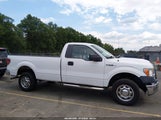 Ford F-150 Stx/Xl/Xlt 1FTMF1EM8DKG13222 photo