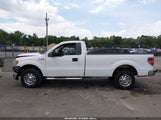 Ford F-150 Stx/Xl/Xlt 1FTMF1EM8DKG13222 photo