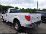 Ford F-150 Stx/Xl/Xlt 1FTMF1EM8DKG13222 photo