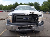 Ford F-150 Stx/Xl/Xlt 1FTMF1EM8DKG13222 photo