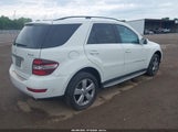 Mercedes-Benz Ml 350 4Matic 4JGBB8GB0AA536477 fotografie