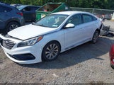 Hyundai Sonata Sport 5NPE34AF4HH451485 снимка