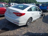 Hyundai Sonata Sport 5NPE34AF4HH451485 снимка