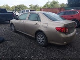 Toyota Corolla Le 1NXBU4EE5AZ336077 fotografie