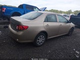 Toyota Corolla Le 1NXBU4EE5AZ336077 fotografie