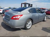 Nissan Maxima 3.5 Sv 1N4AA51E69C859006 fotografie