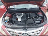 Hyundai Sonata Limited 2.0T 5NPEC4AB1BH305534 photo