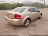 Dodge Avenger Sxt 1B3CC4FB3AN110017 снимка