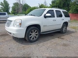 GMC Yukon Denali 1GKS2EEF7BR252215 fotografie